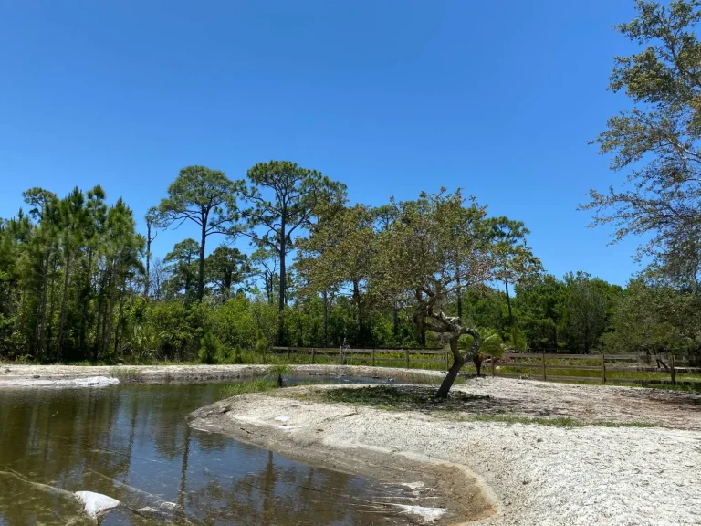 Retention pond with graded banks in Brevard County
