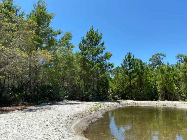Newly dug retention pond with sandy banks