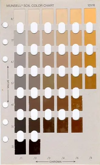 Treatment media used in an advanced wastewater system