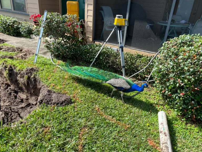 Septic riser and pump installation in a residential yard
