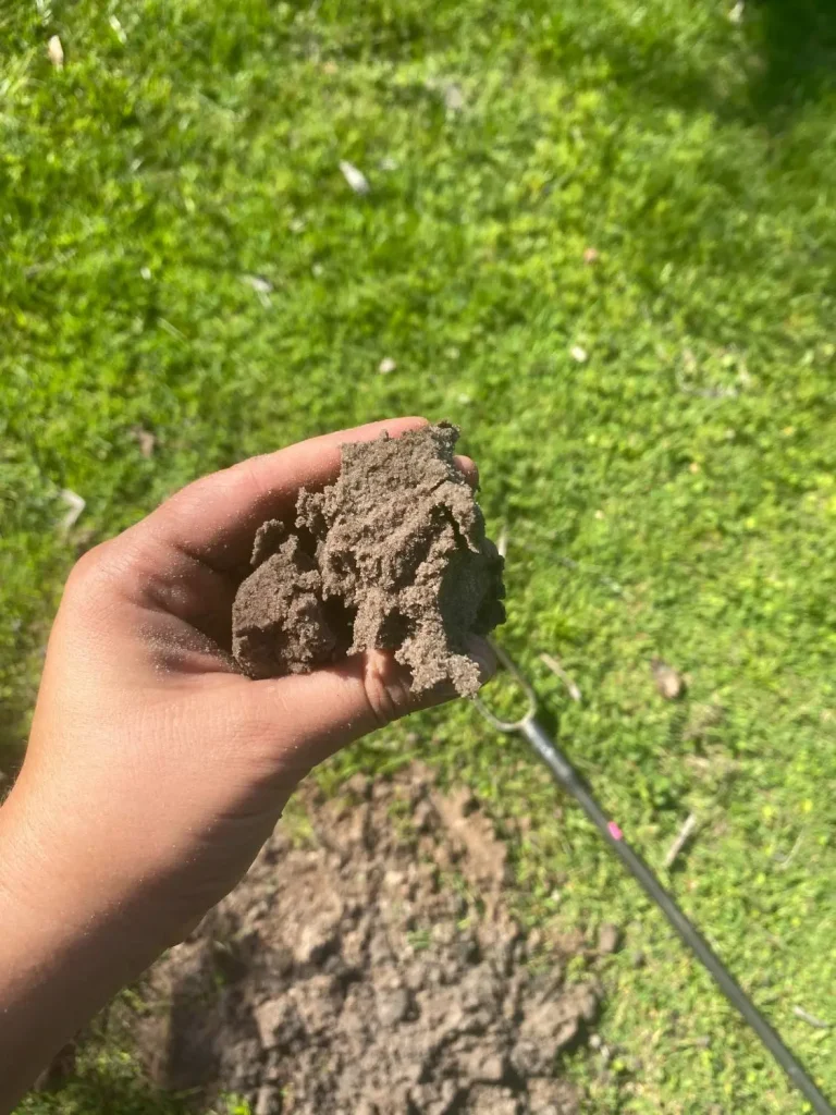 Hand holding a soil sample on a grass lawn