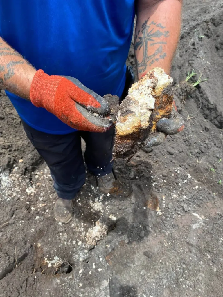 Inspections & site evaluations
