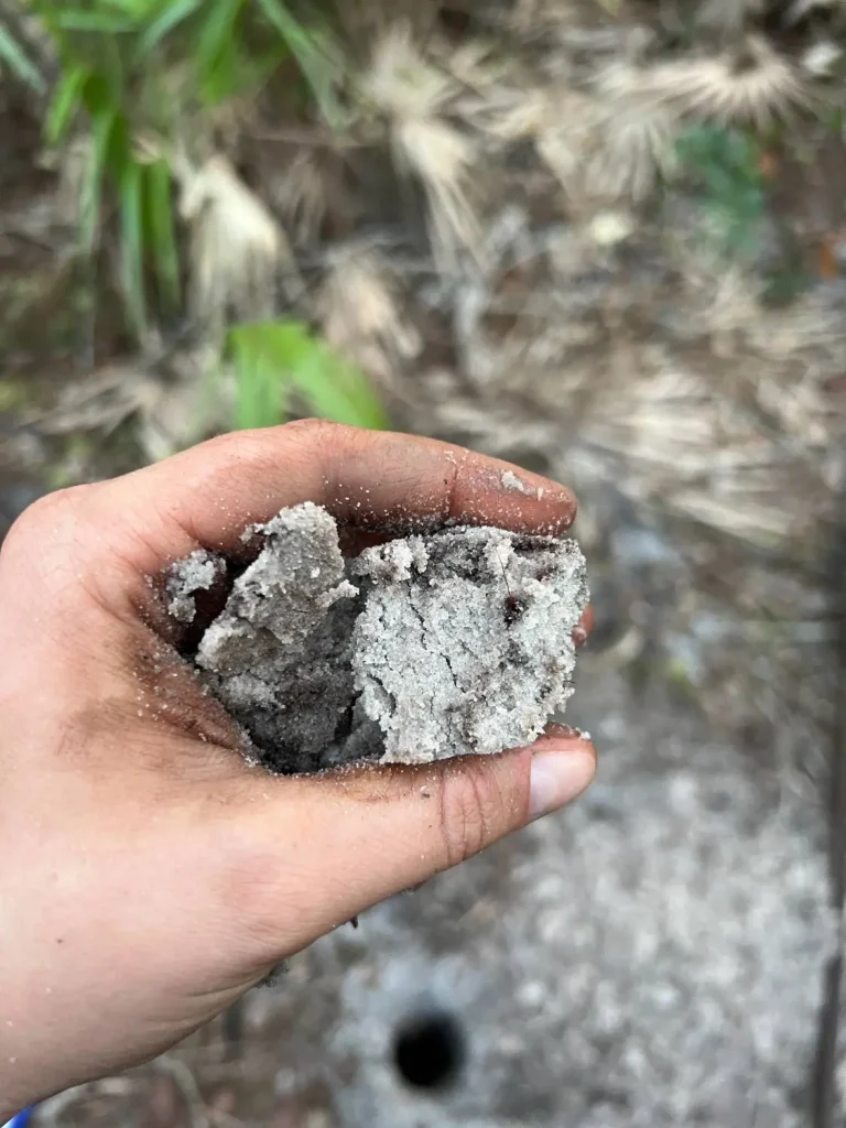Hand holding limestone rock dug from a septic site