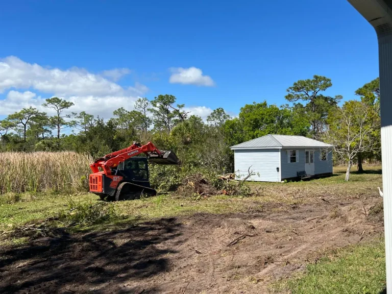 Track loader clearing an overgrown field