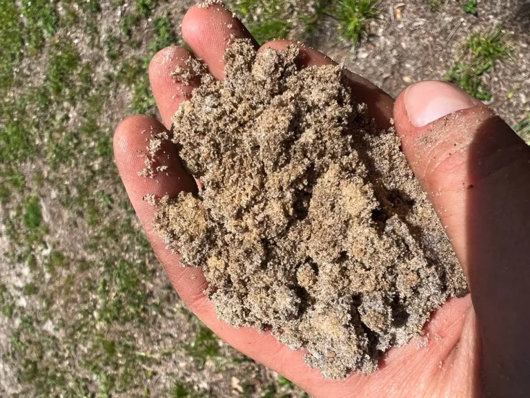 Hand holding sandy soil during a septic site evaluation