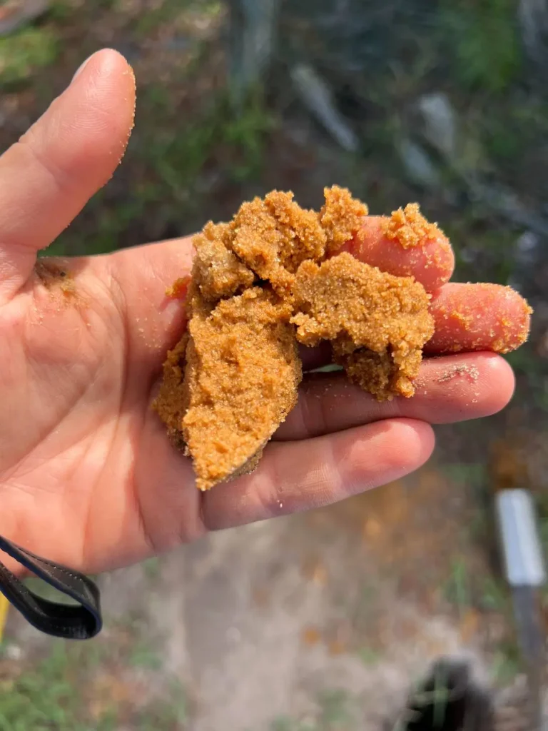 Hand holding hardened soil from a failing drainfield