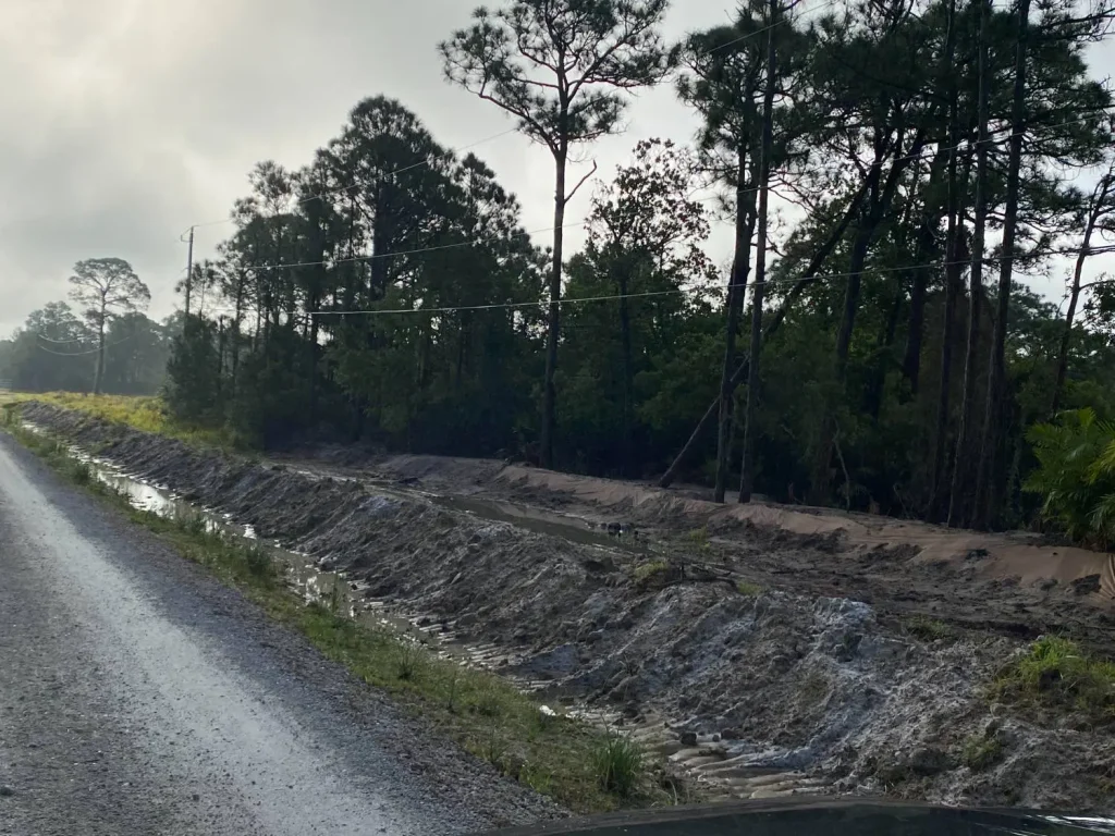 Excavator clearing land beside a sandy road
